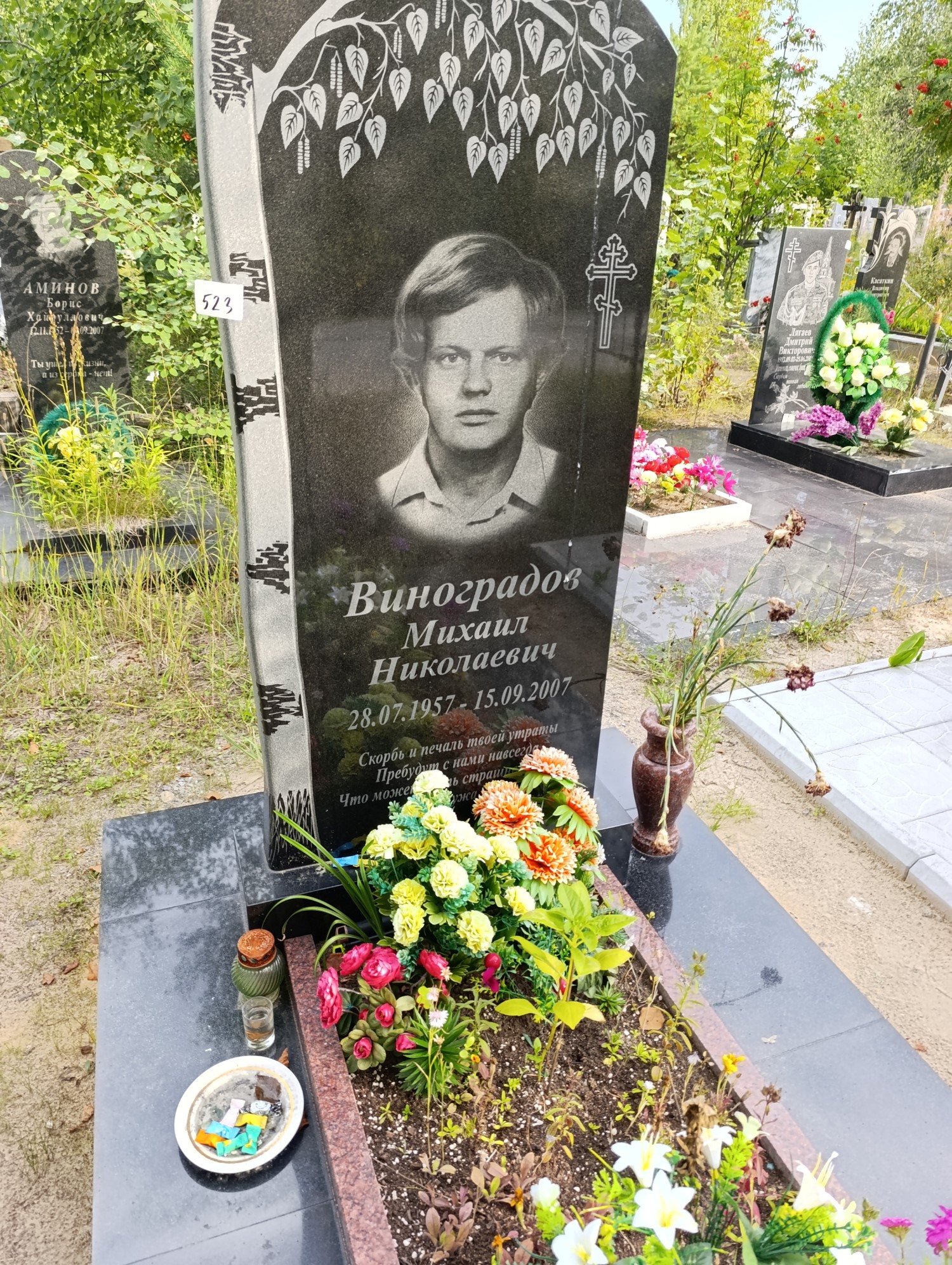 Виоградов Михаил Николаевич