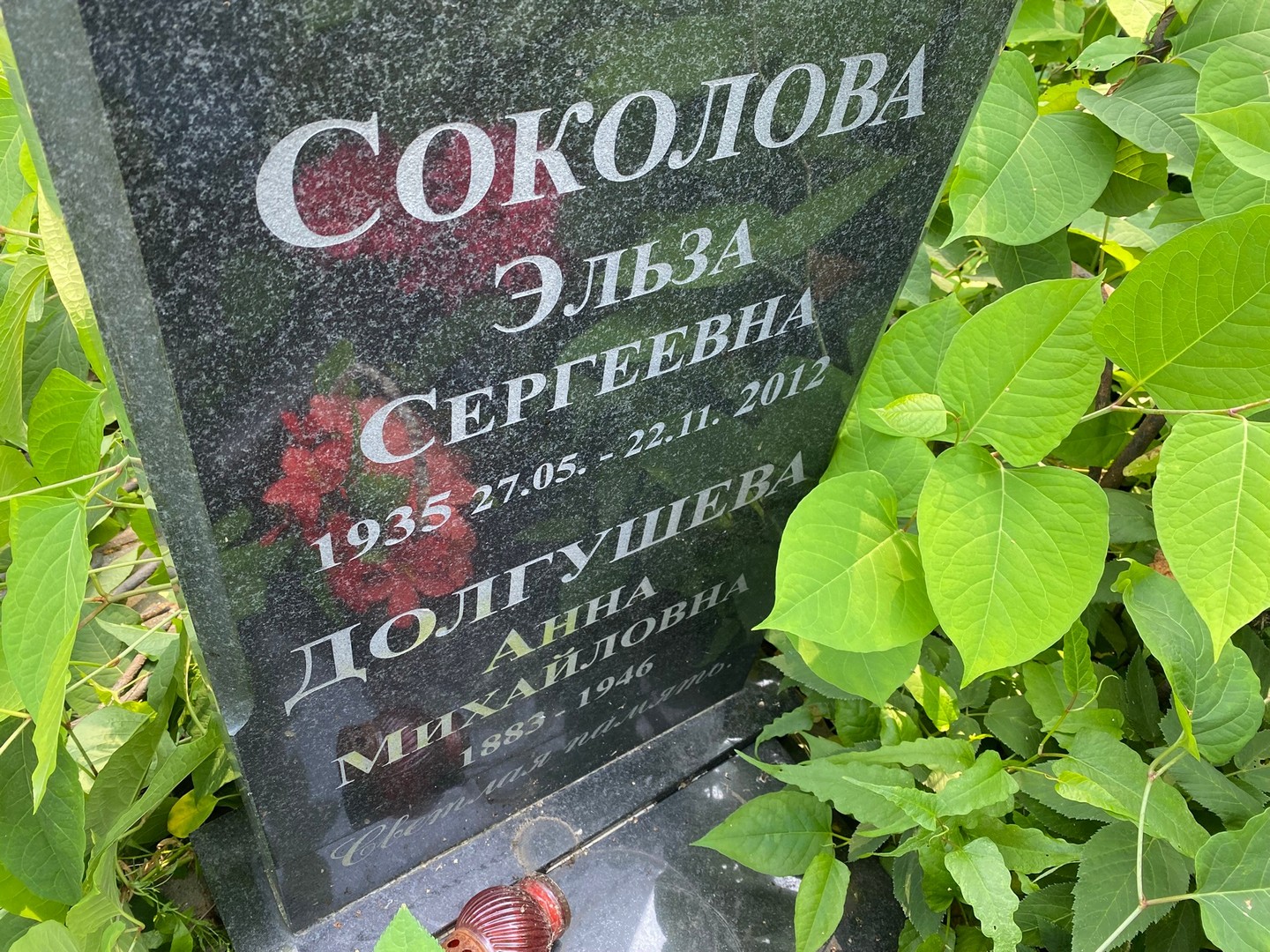 Эльза Соколова Сергеевна