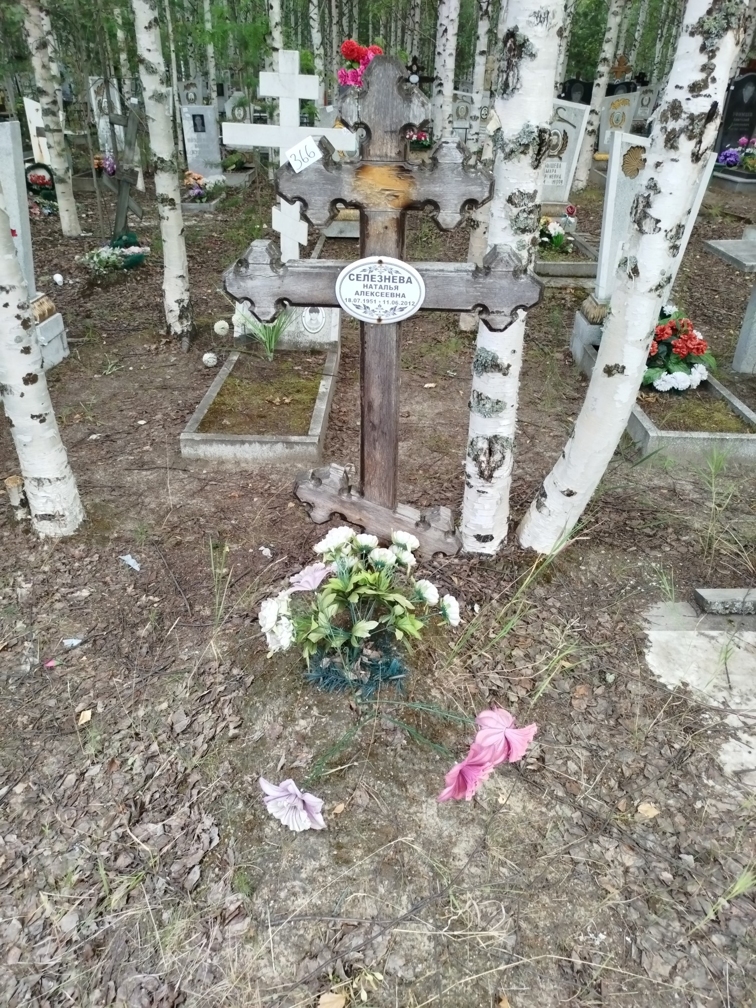 Селезнева Наталья Алексеевна