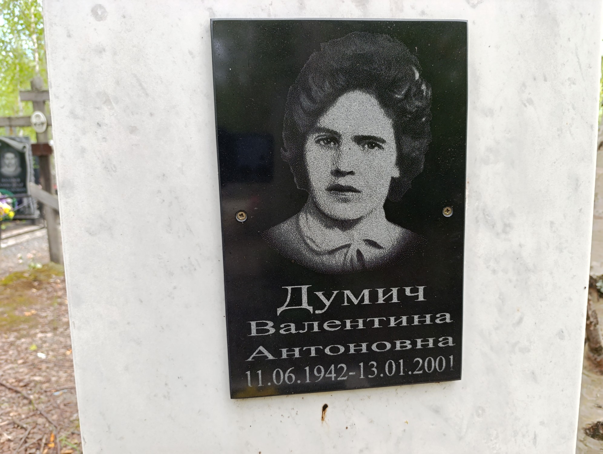 Думич Валентина Антоновна