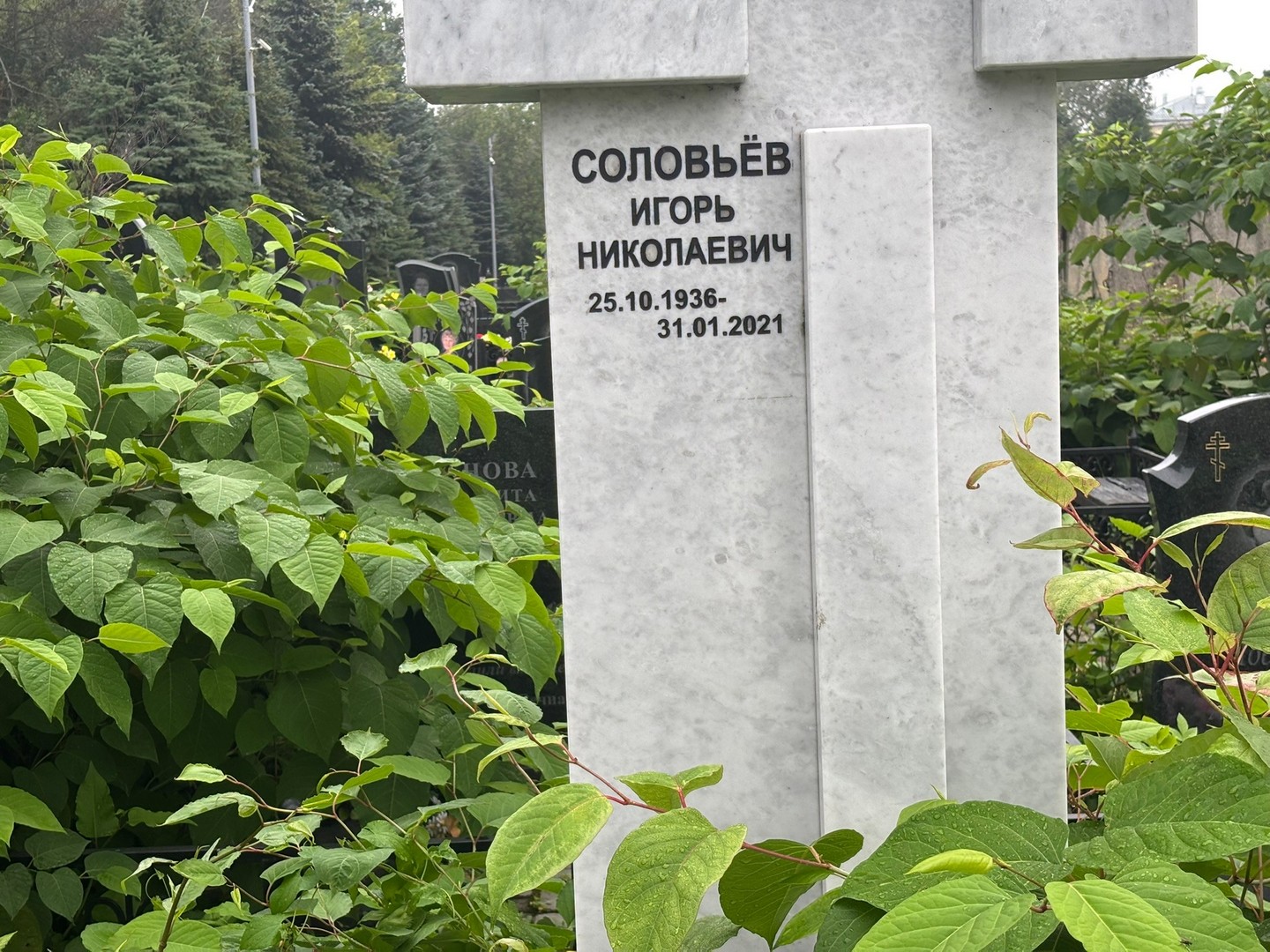 Соловьев