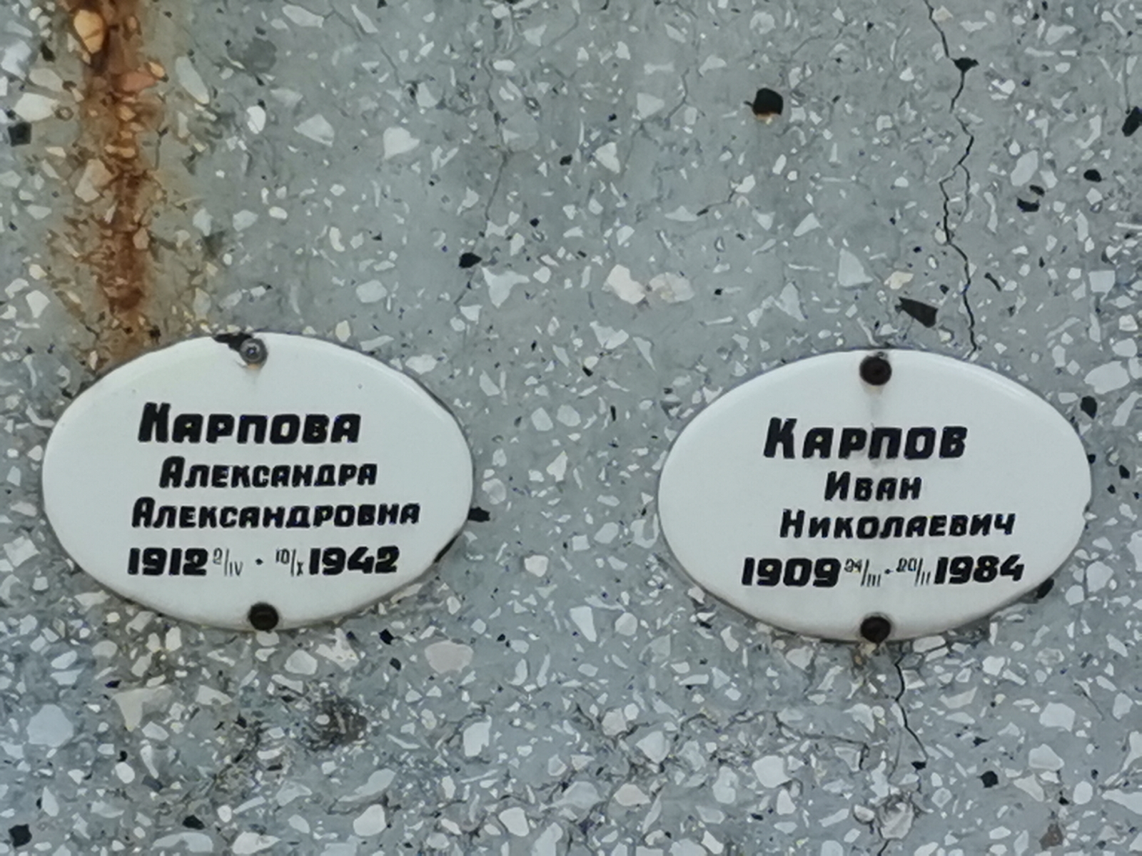Карпова Александра Александровна