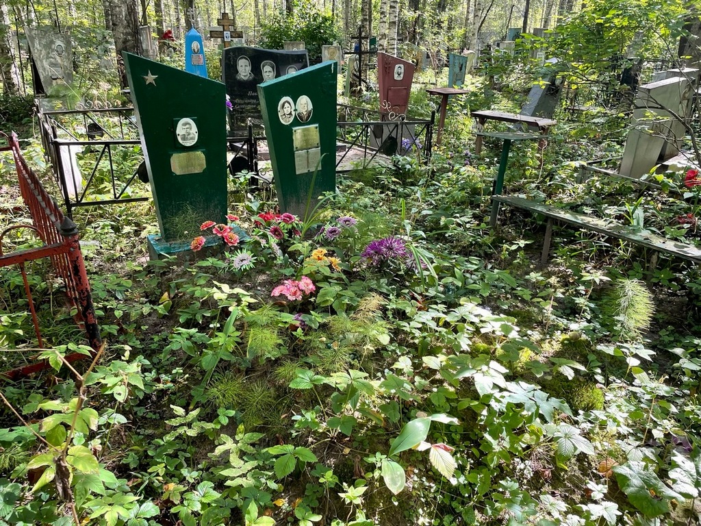 Ласточкина Александра Илларионовна