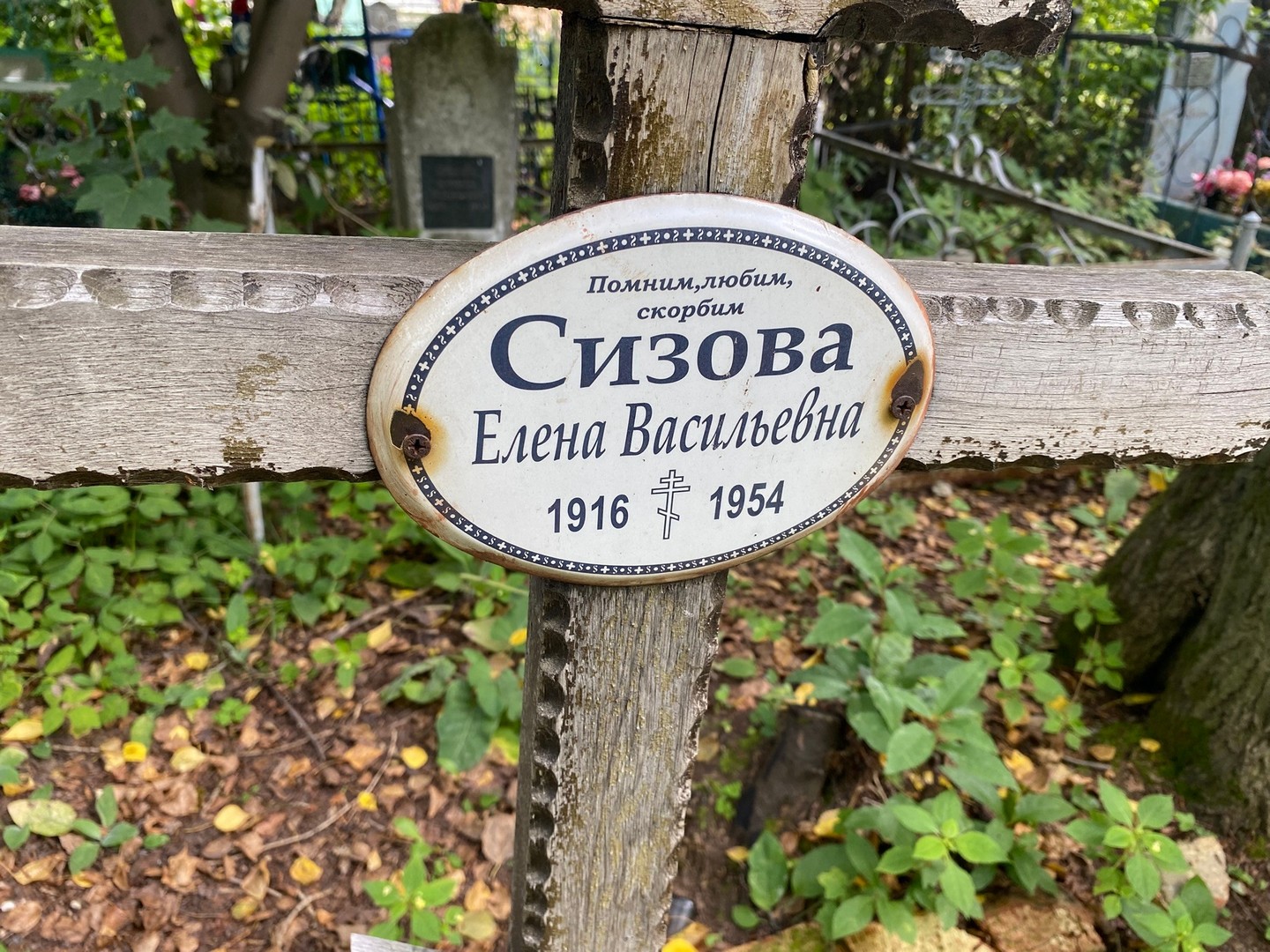 Сизова