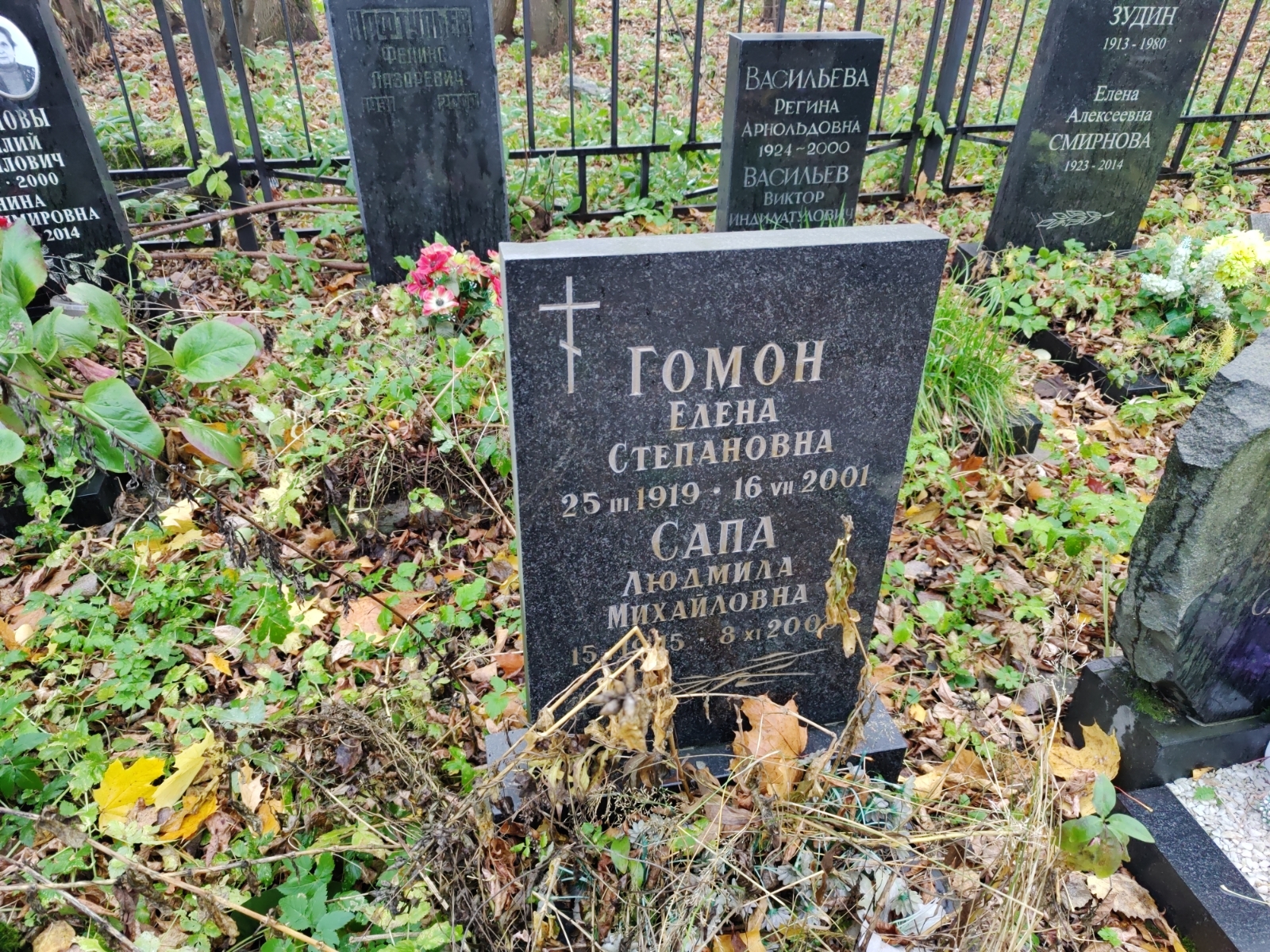 Гомон Елена Степановна