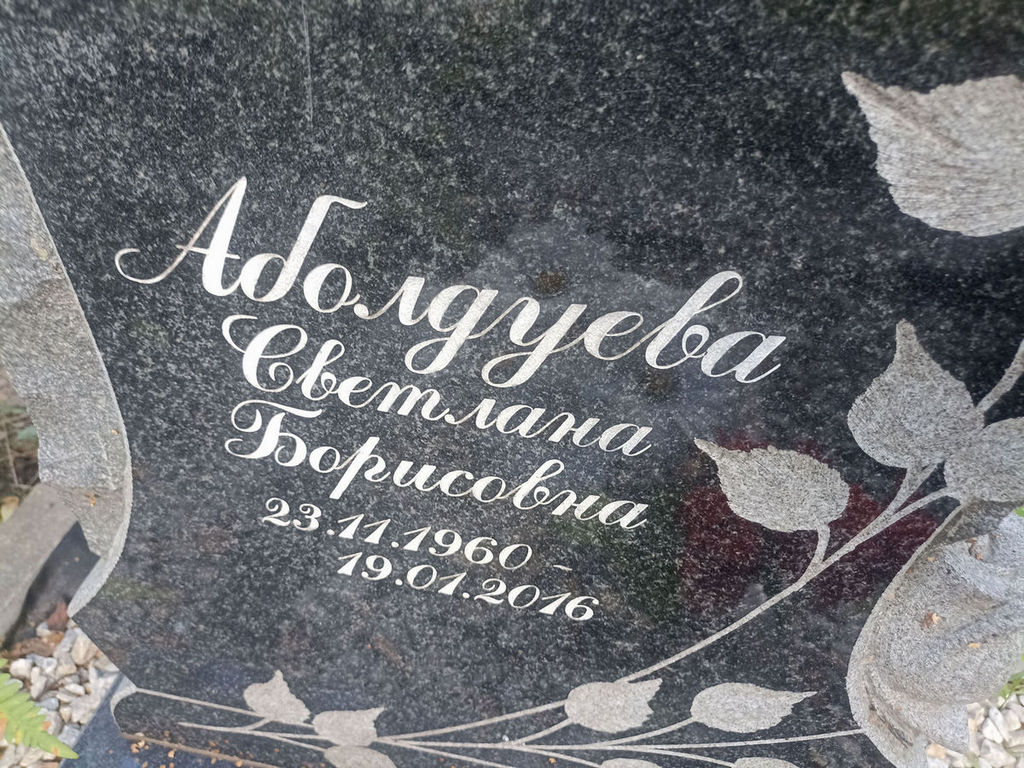 Аболдуева Светлана Борисовна