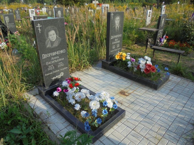 Дворниченко Анна Васильевна