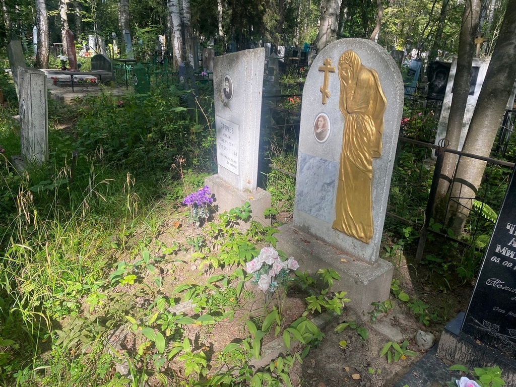 Минеева Елена Васильевна