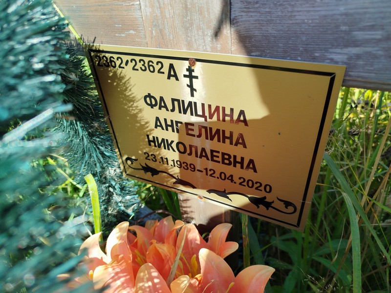 Ангелина Фалицина Николаевна