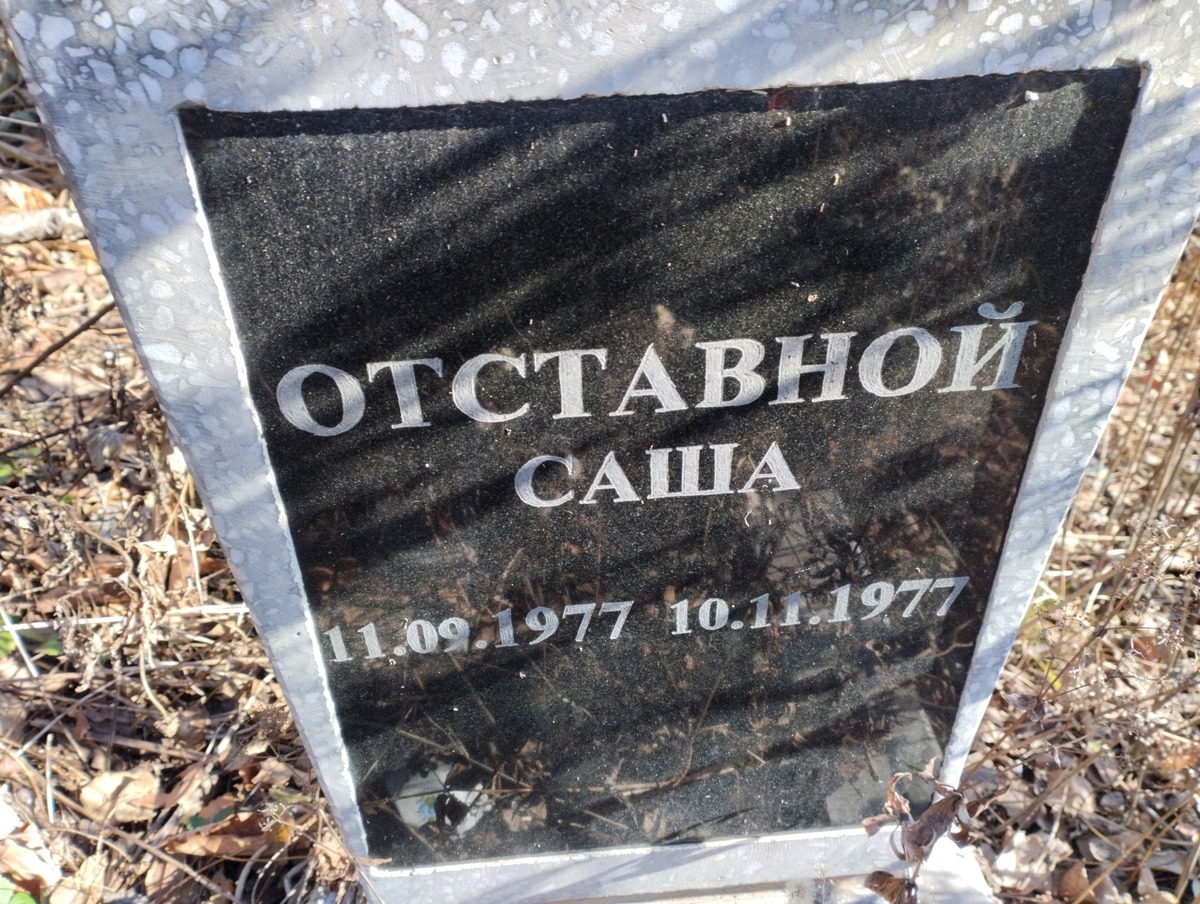 Отставной Саша