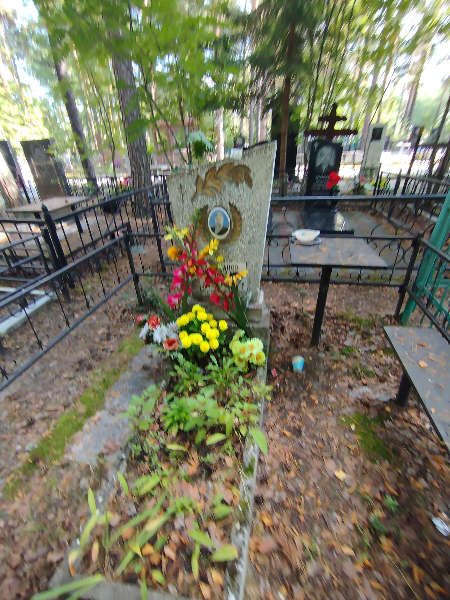 Алиманов Николай Павлович