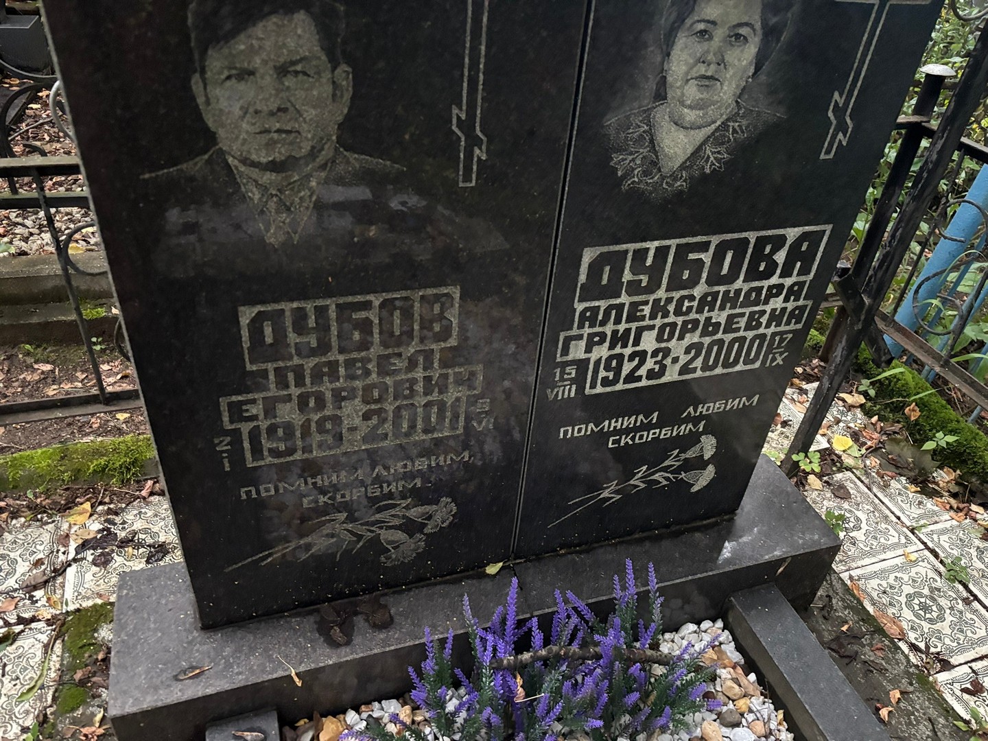 Дубов
