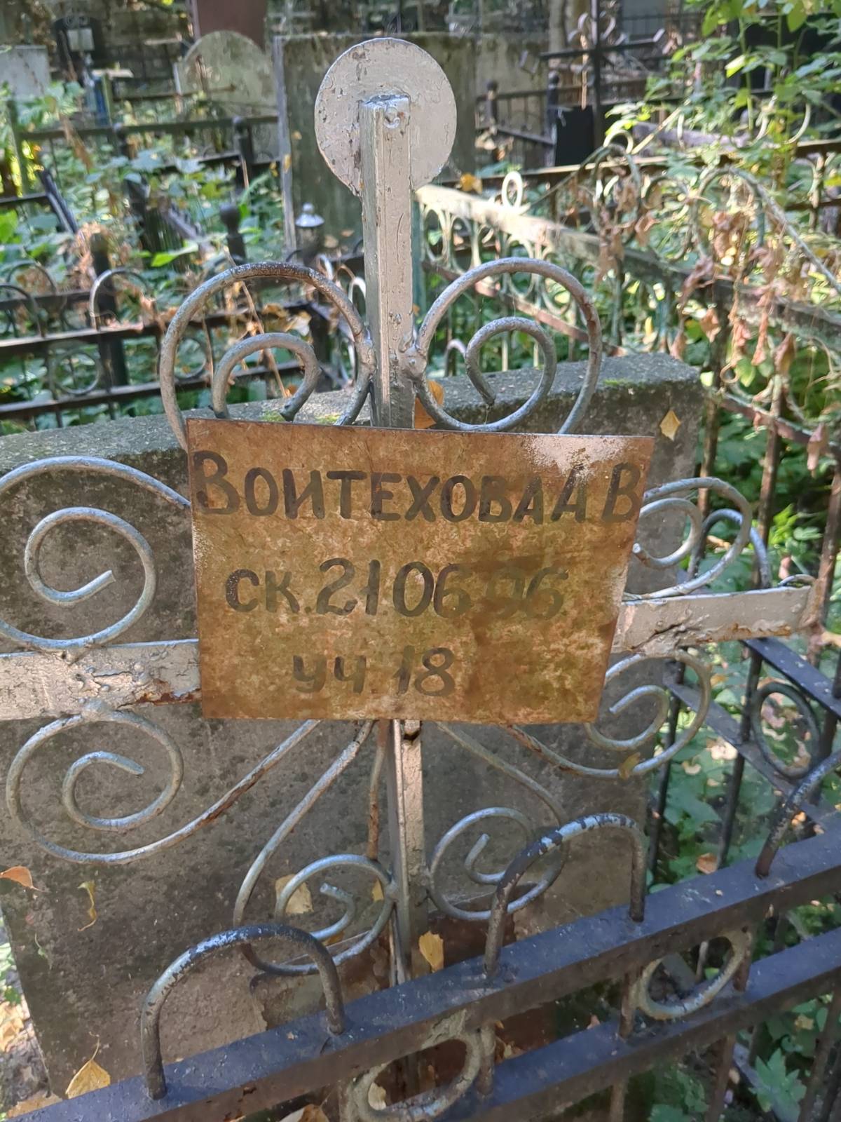 Воитехова А.