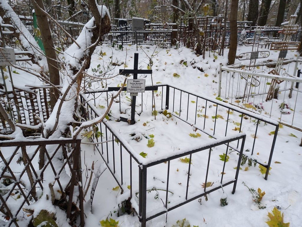 Городецкая Людмила Алексеевна