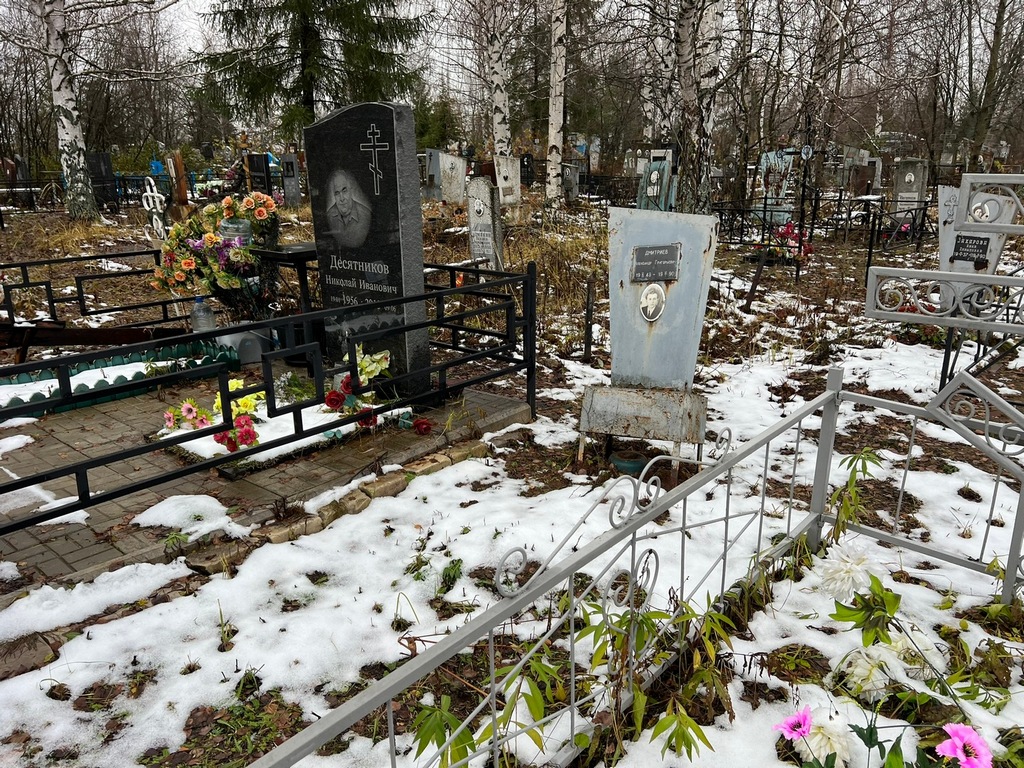 Дмитриев Александр Григорьевич