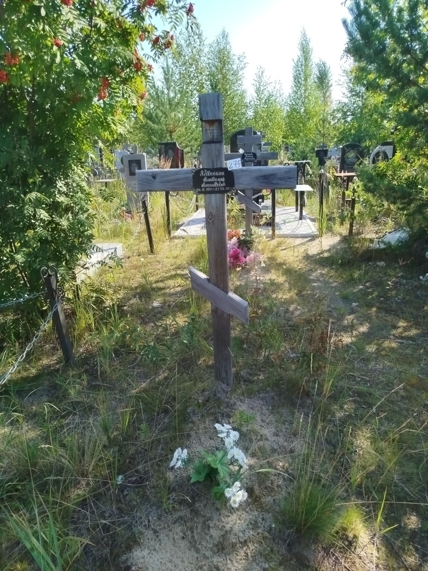 Ягодейкин Владимир Леонидович