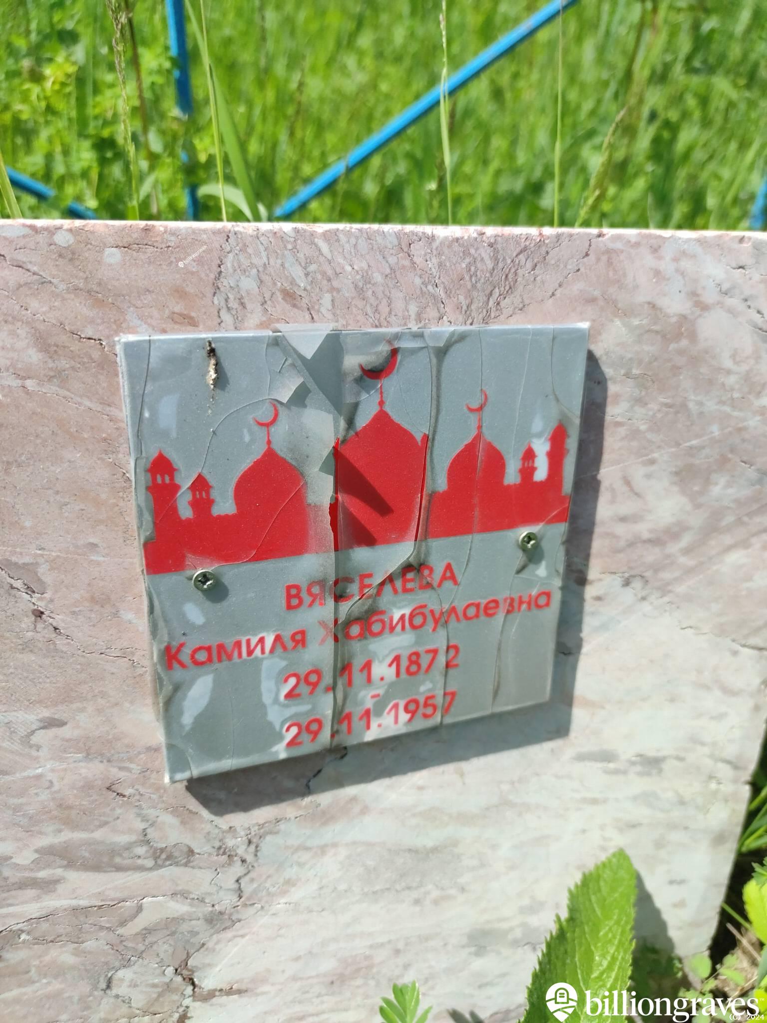 Вяселева Камиля Хабибулаевна