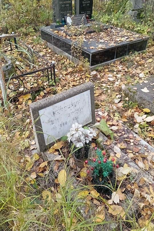Курочкин Петр Иванович