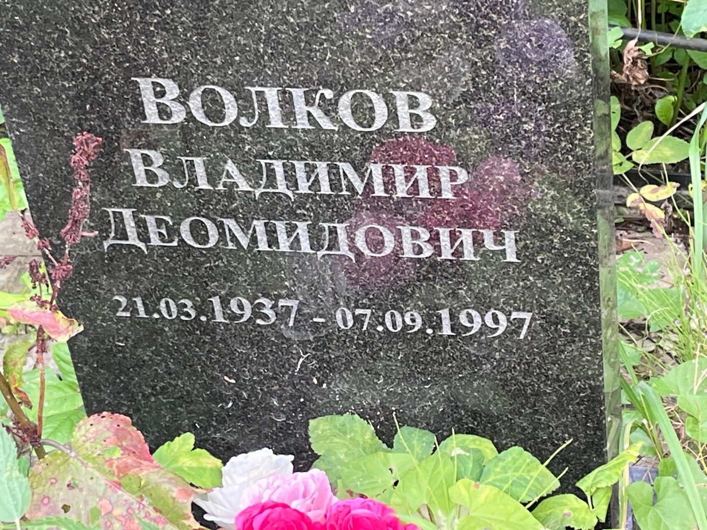 Волков