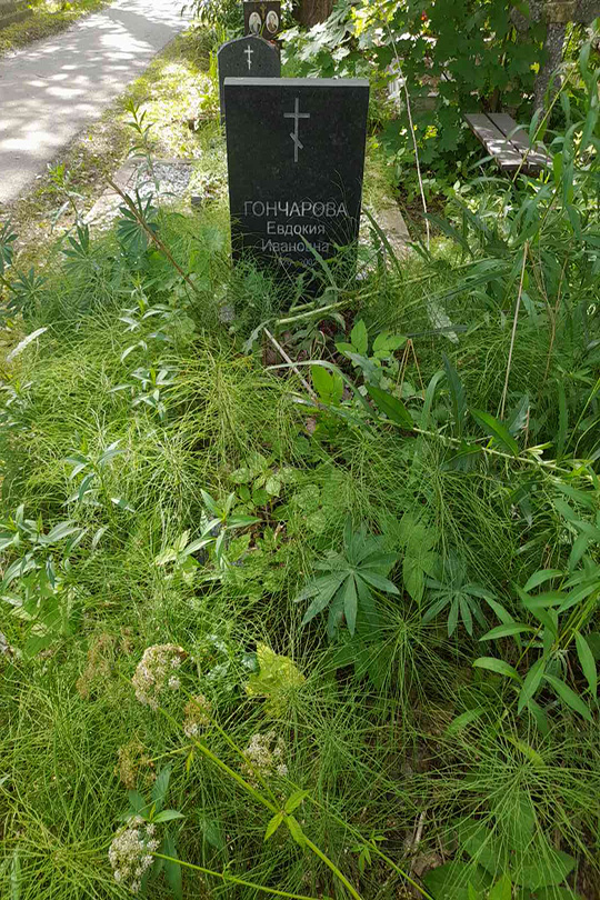 Гончарова Евдокия Ивановна