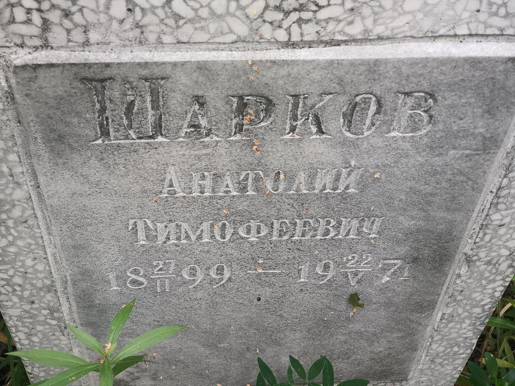 Шарков Анатолий Тимофеевич