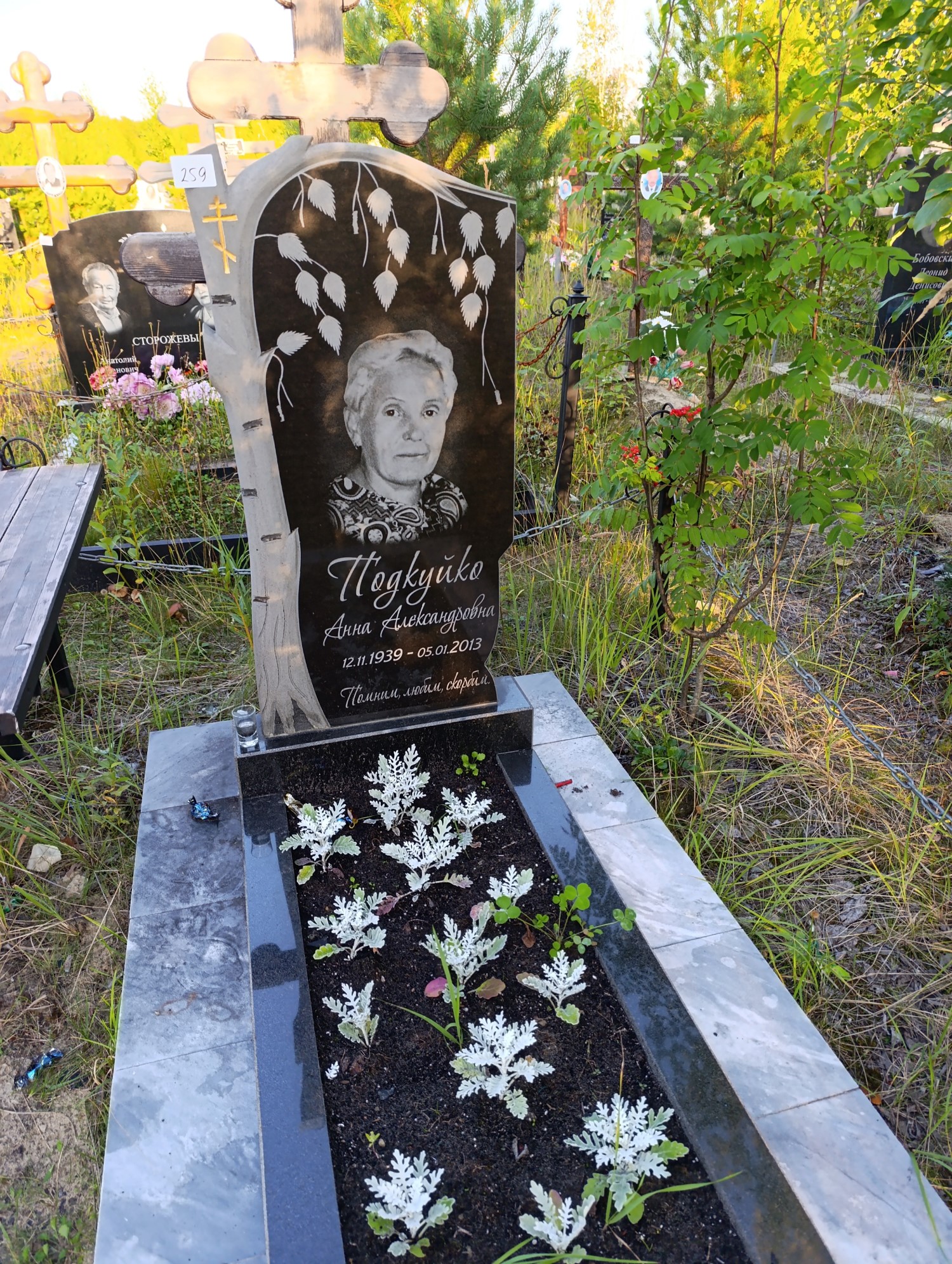 Подкуйко Анна Александровна
