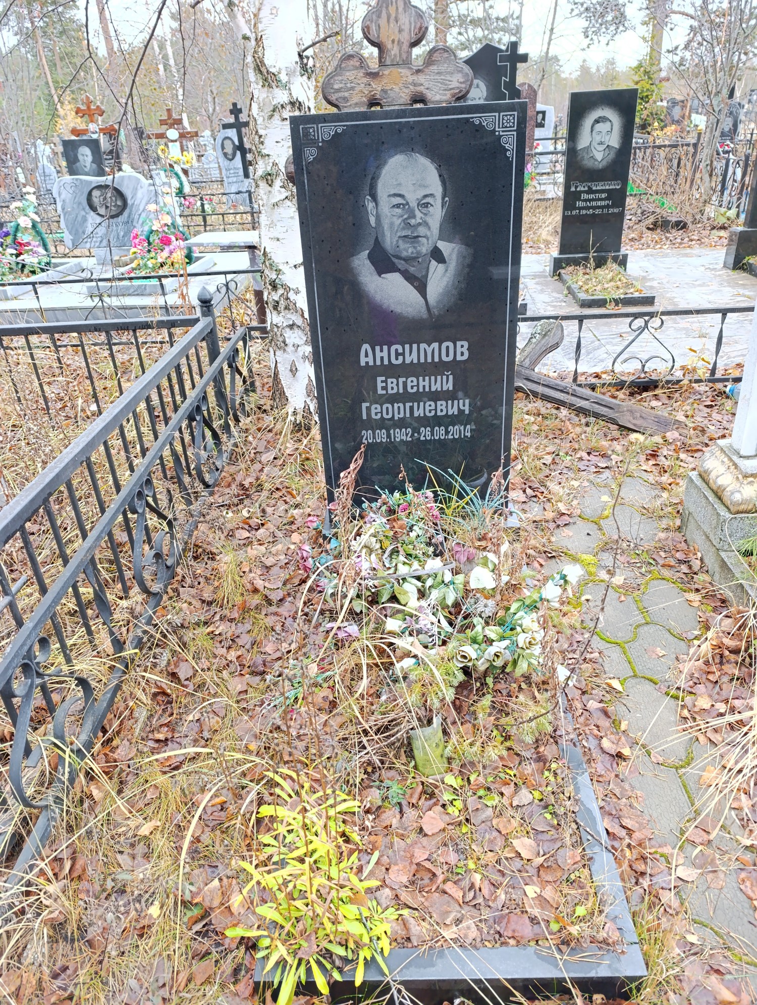 Ансимов Евгений Георгиевич