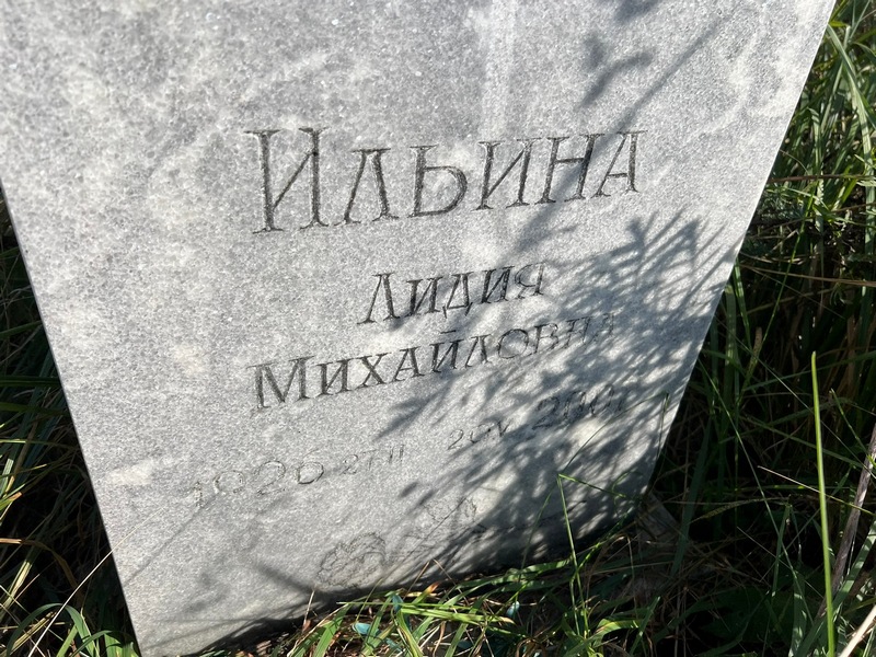 Ильина