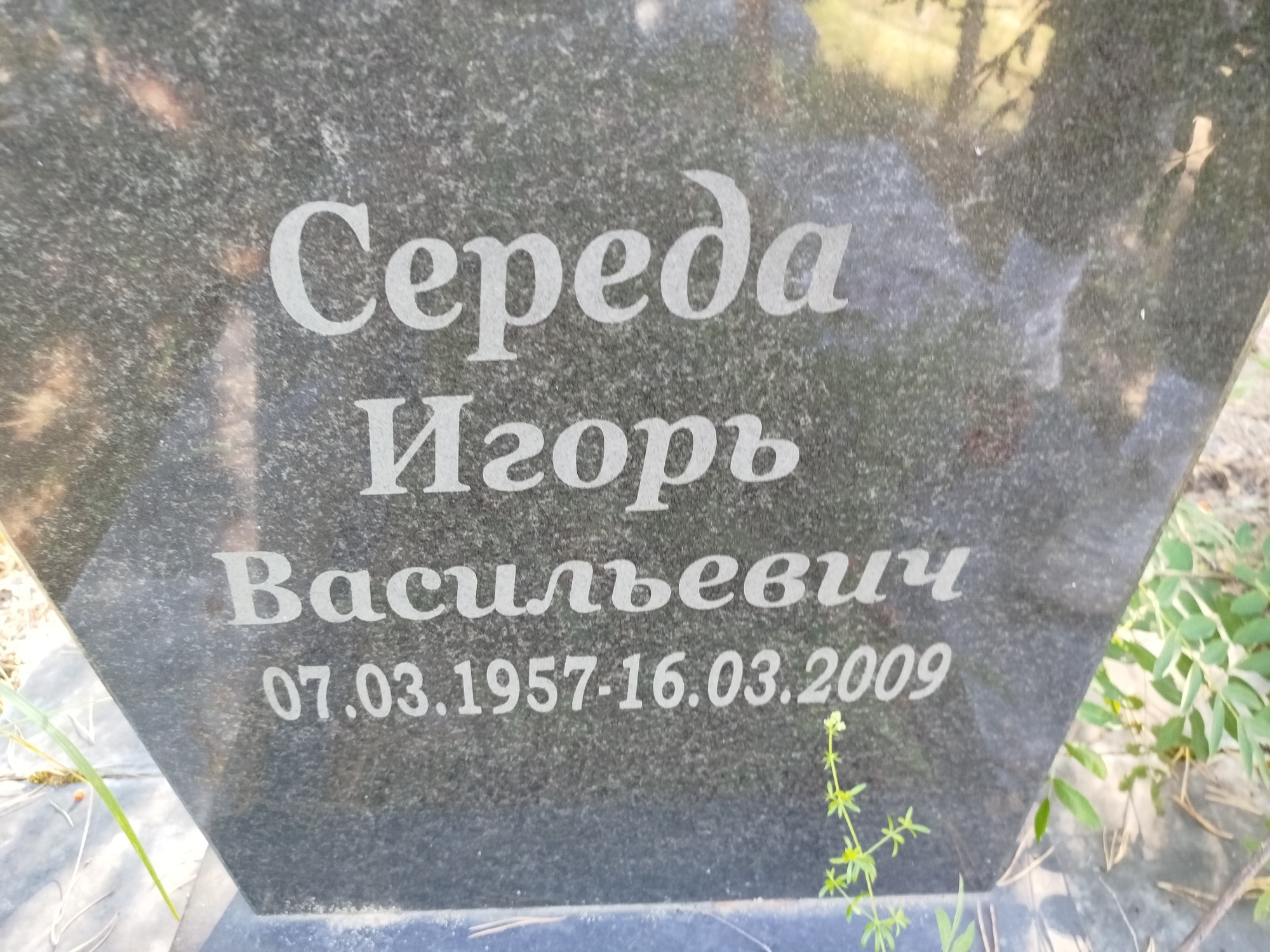 Середа Игорь Васильевич