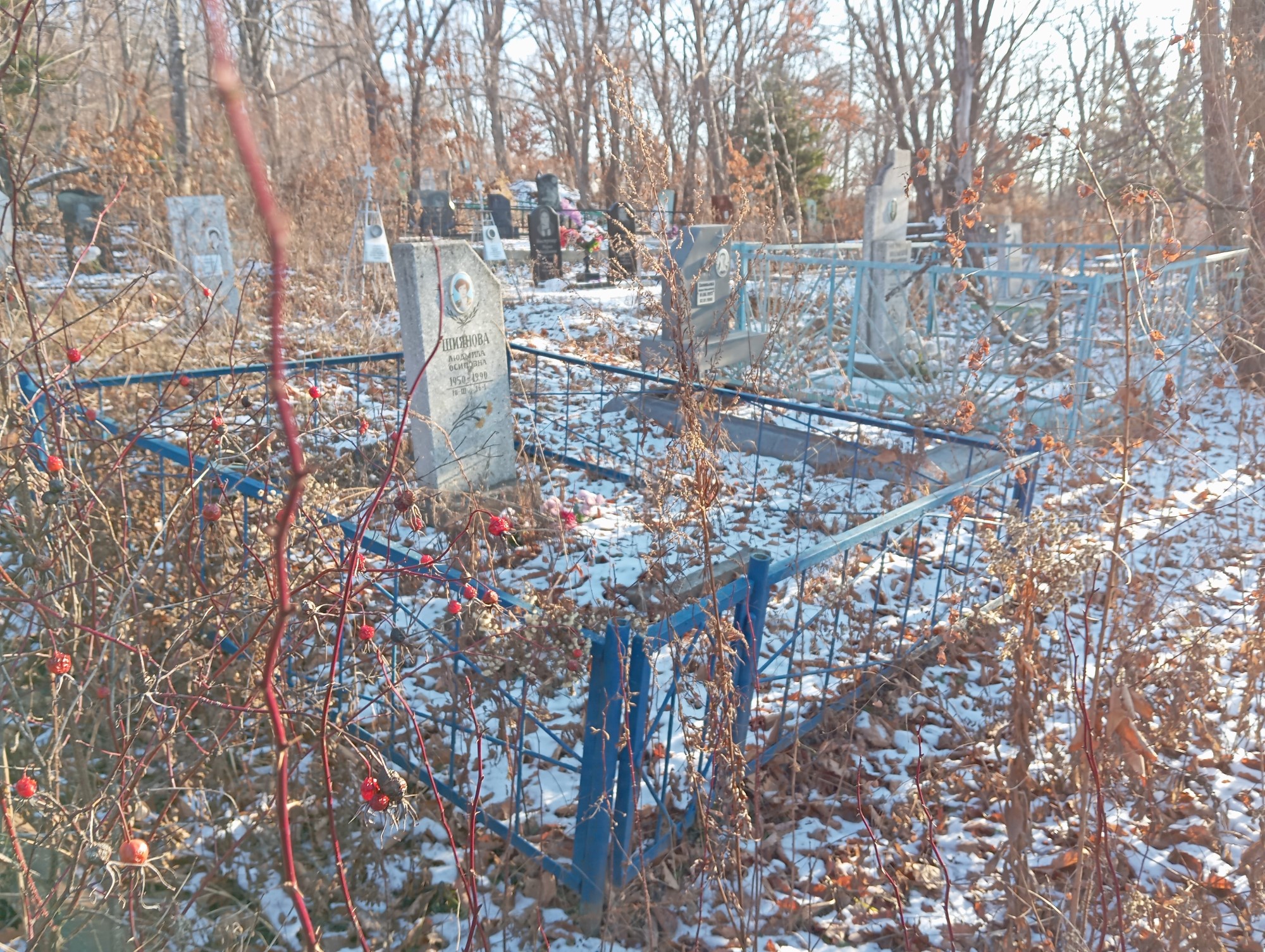 Шиянова Людмила Осиповна