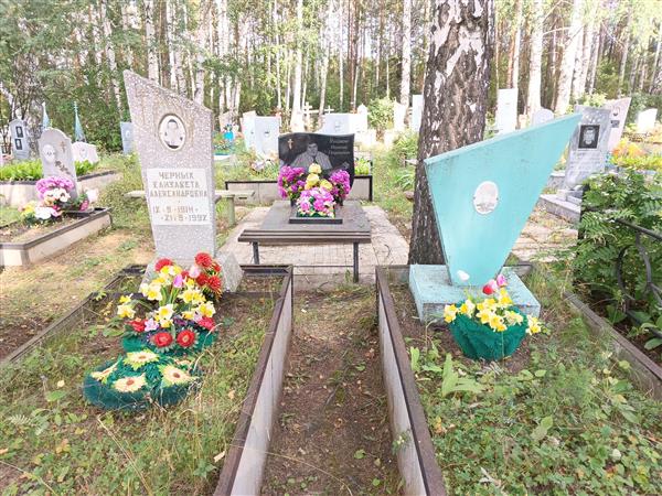 Черных Николай Александрович