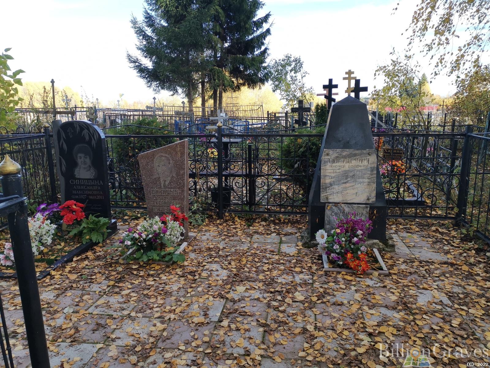 Синицына Александра Максимовна