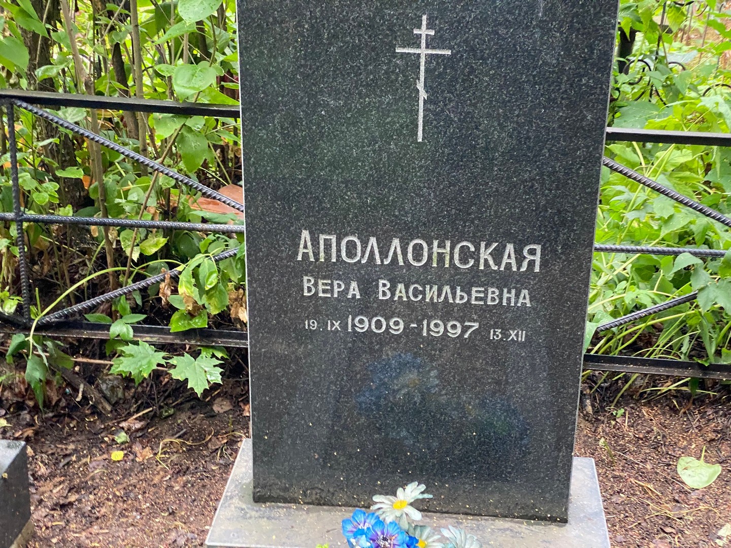 Аполлонская
