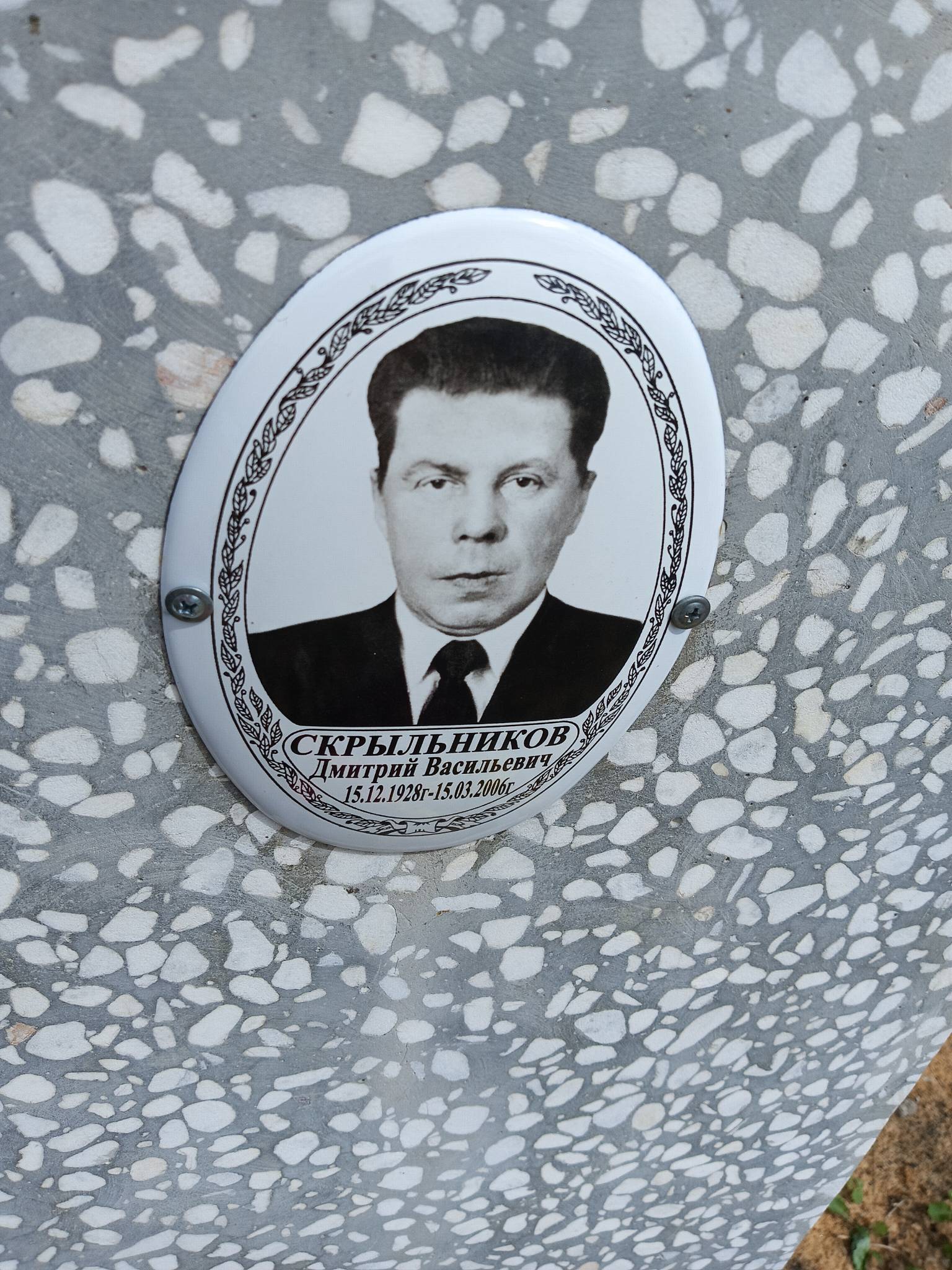 Скрыльников Дмитрий Васильевич