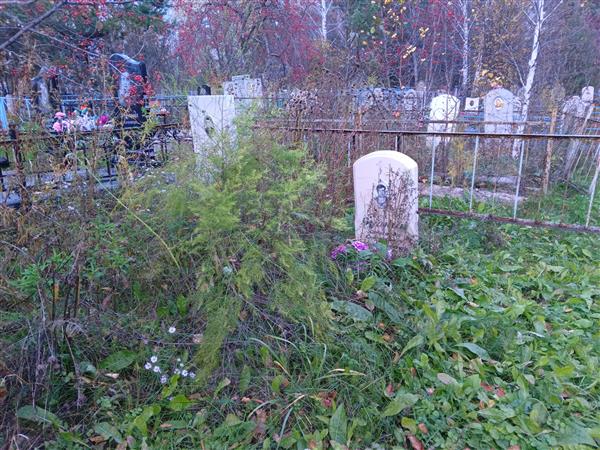 Булкин Александр Степанович