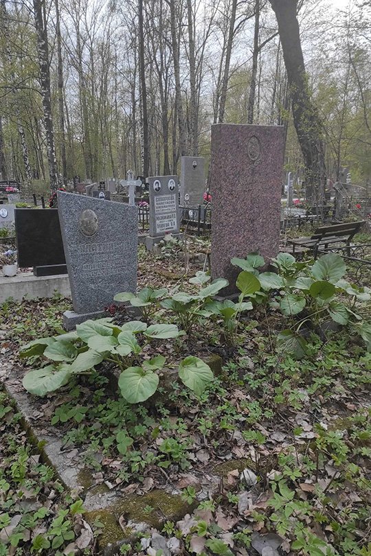 Платонов Алексей Иванович