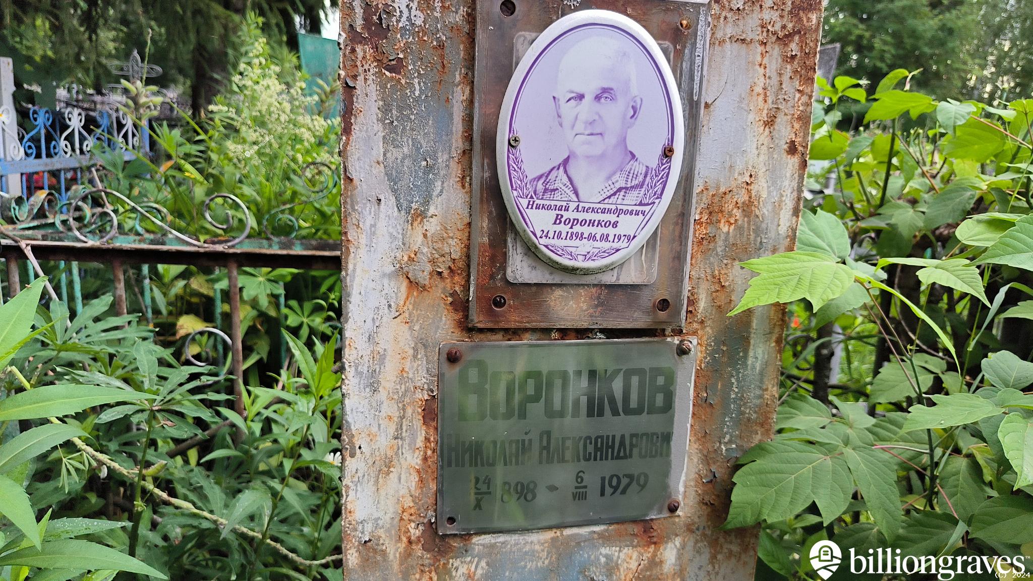 Воронков Николай Александрович