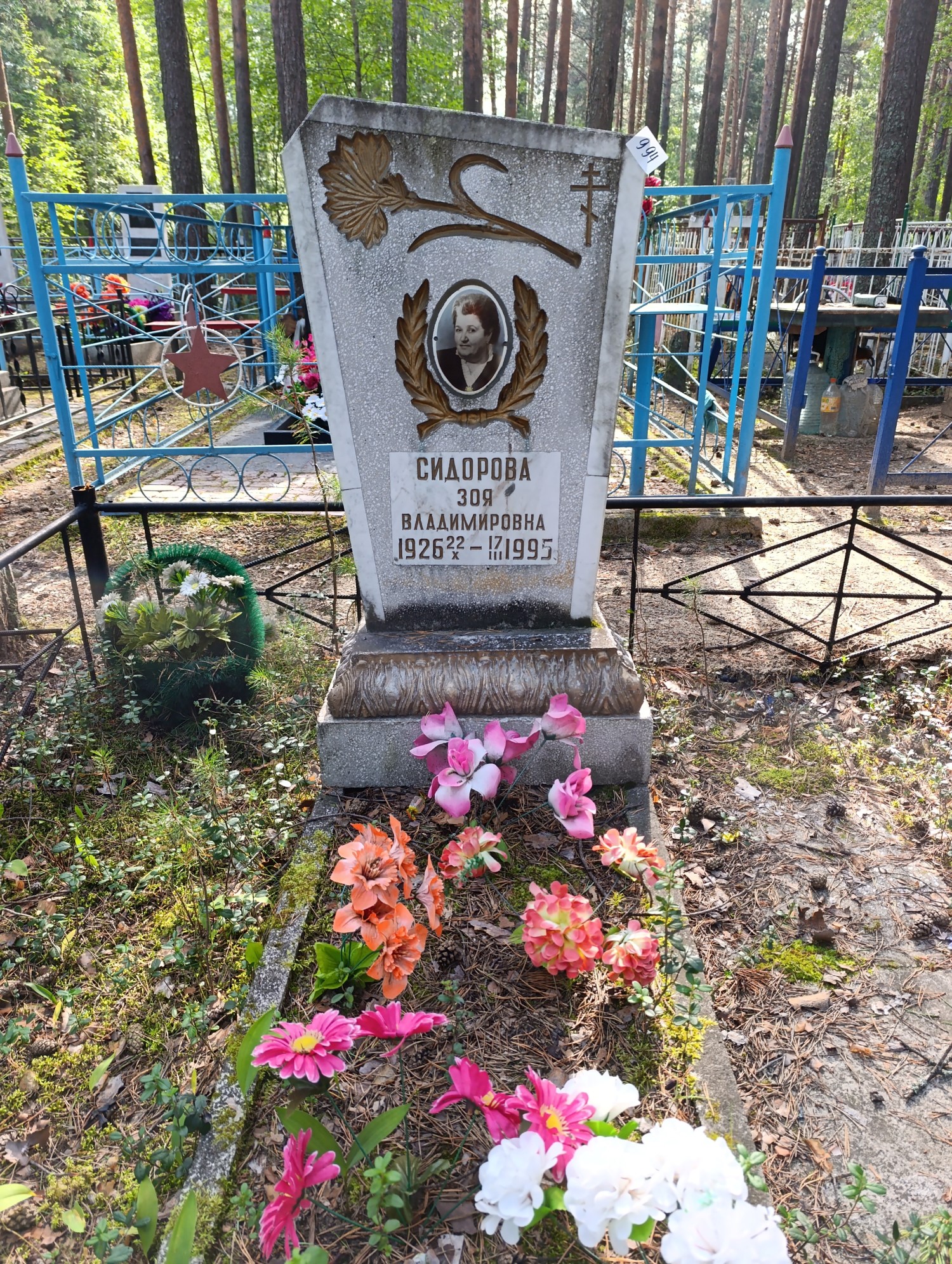Сидорова Зоя Владимировна