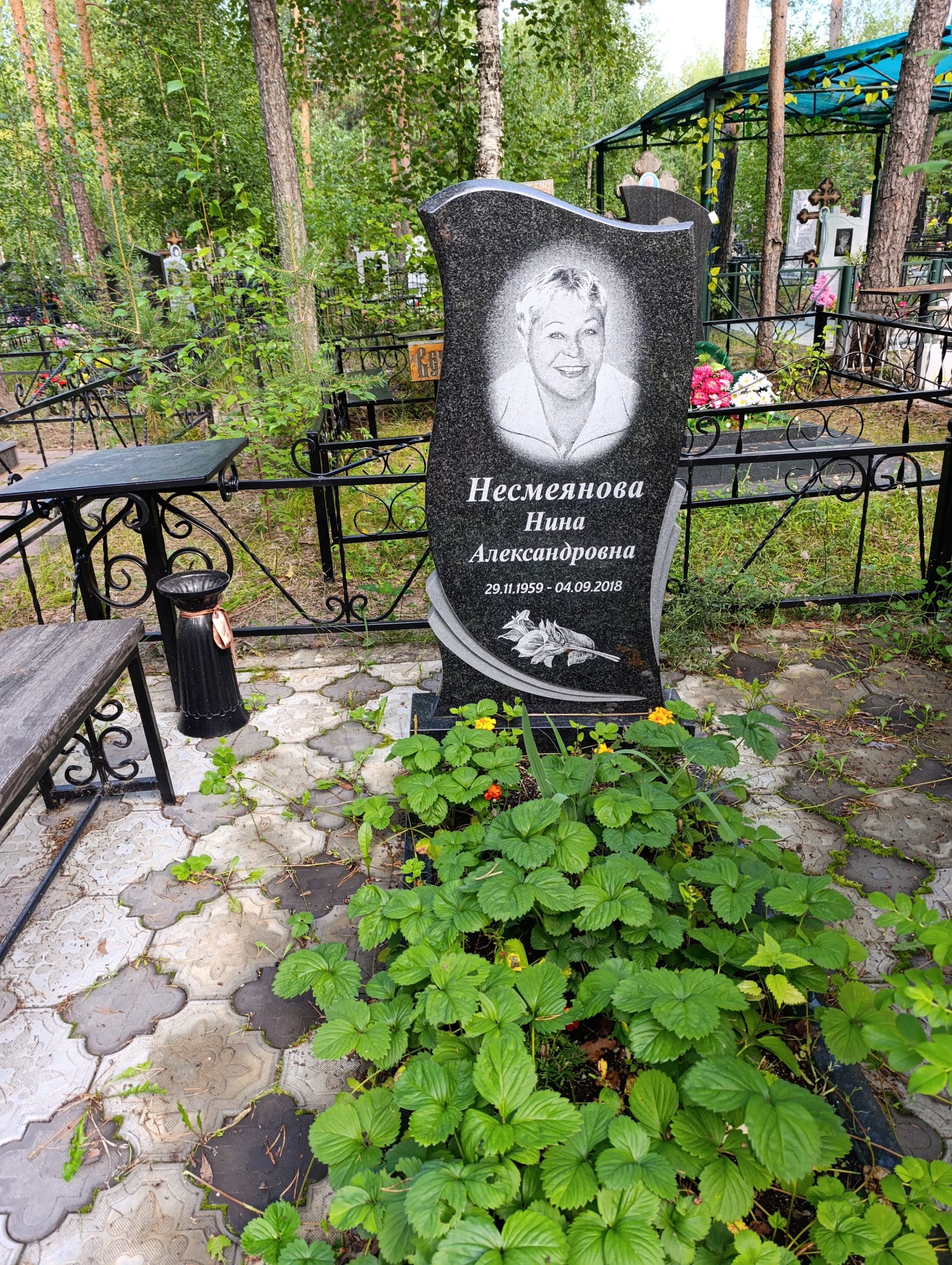 Несмеянова Нина Александровна