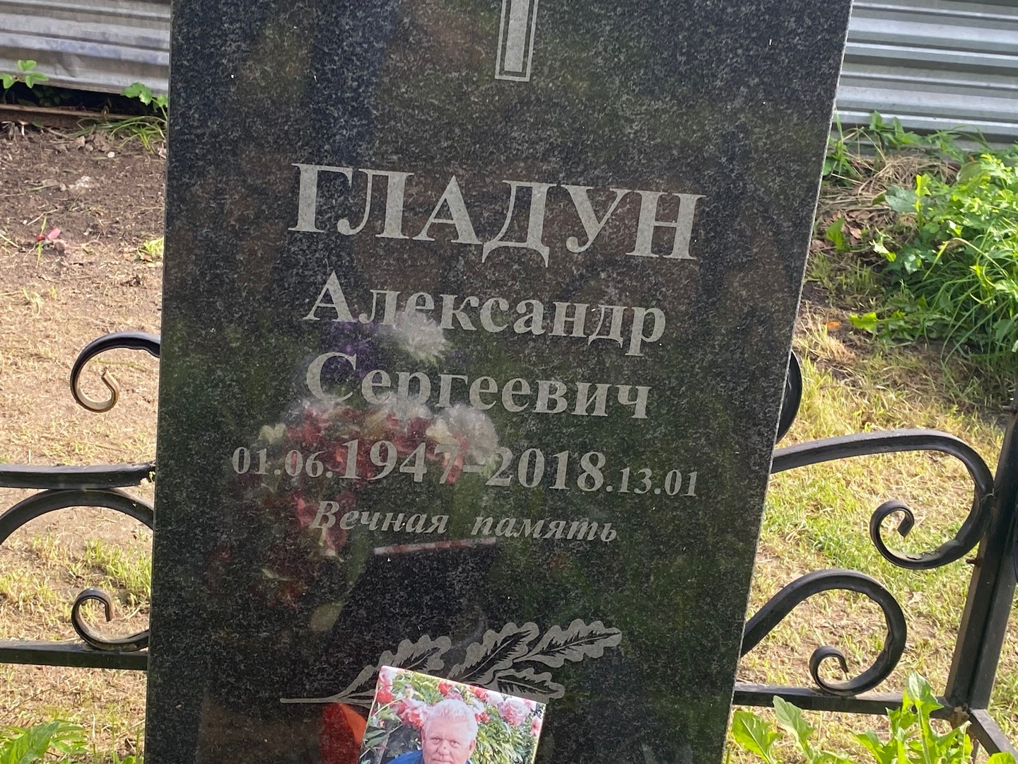 Гладун