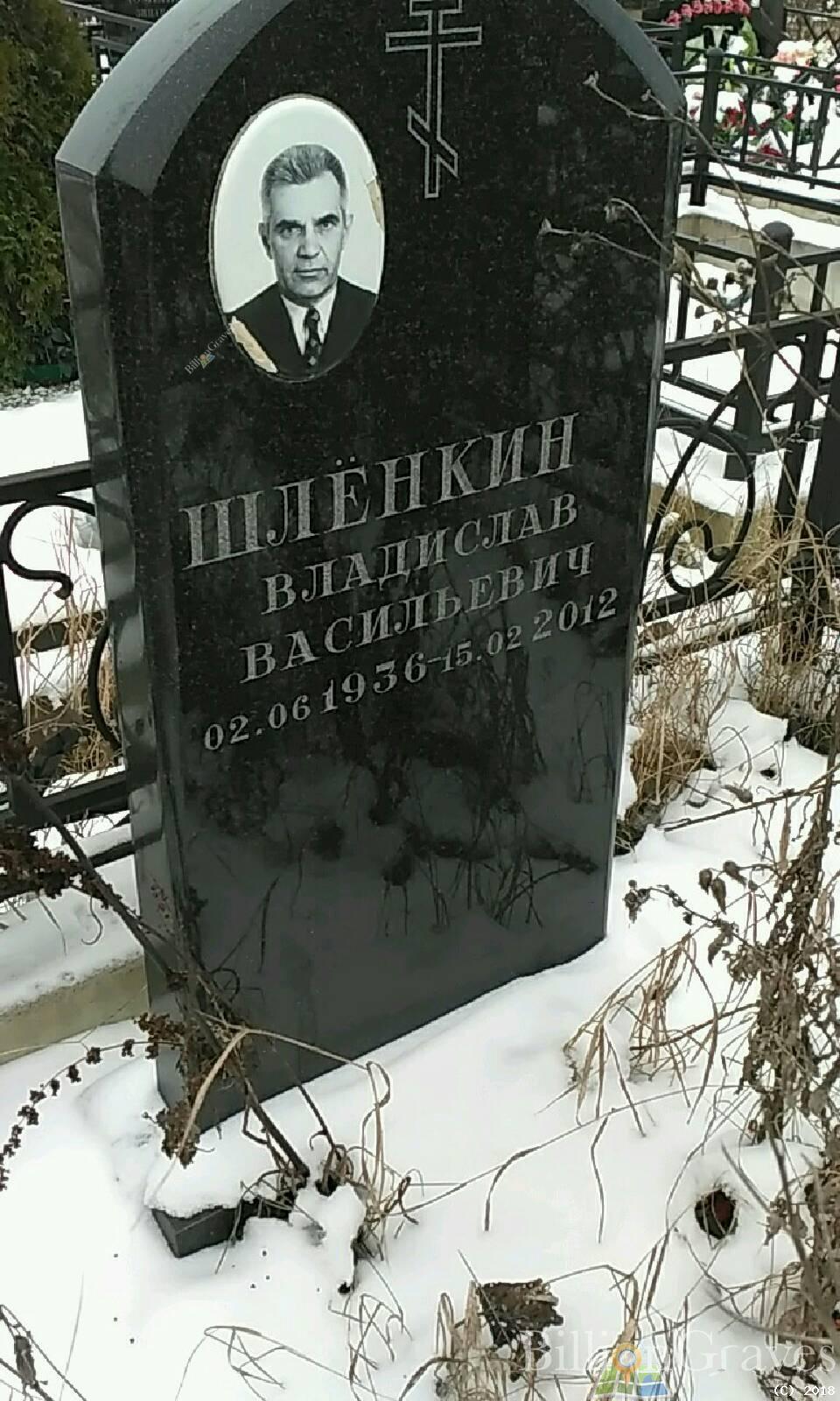 Шлёнкин Владислав Васильевич