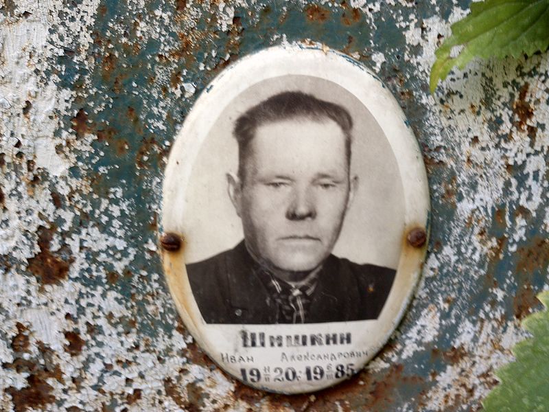 Шишкин