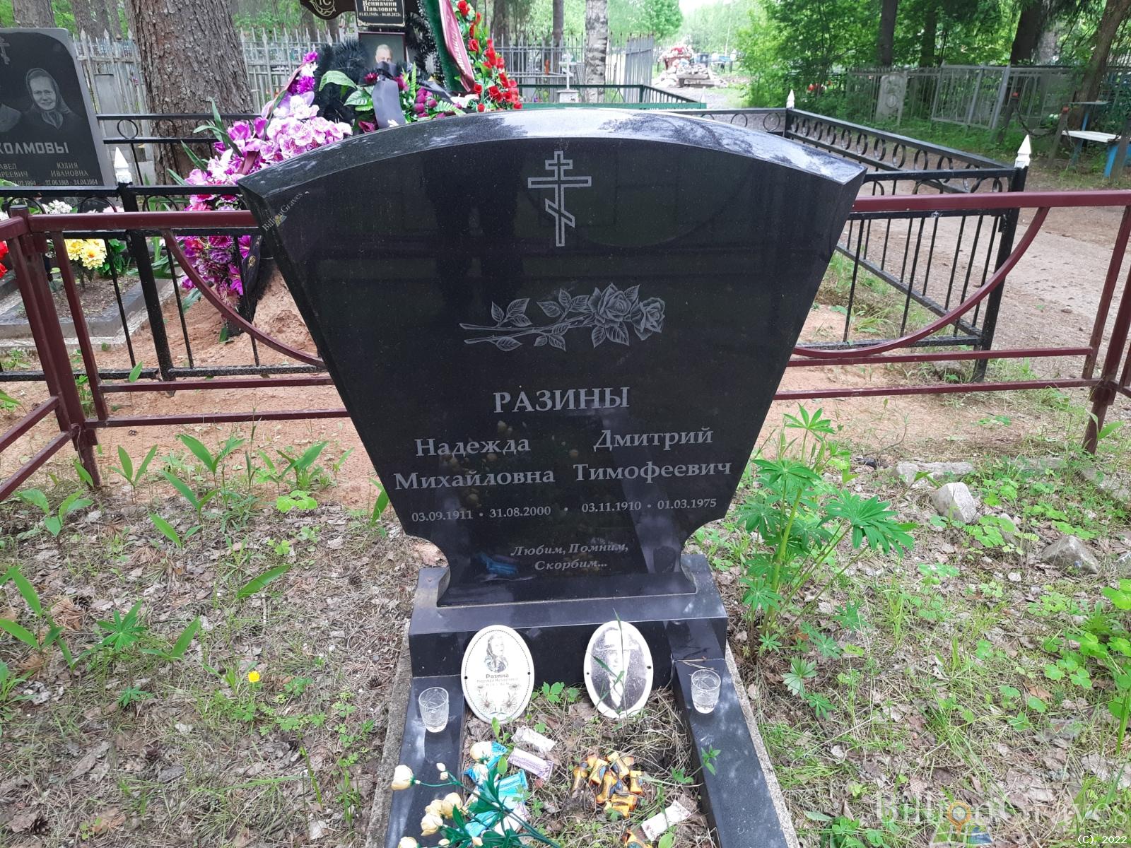 Разин Дмитрий Тимофеевич