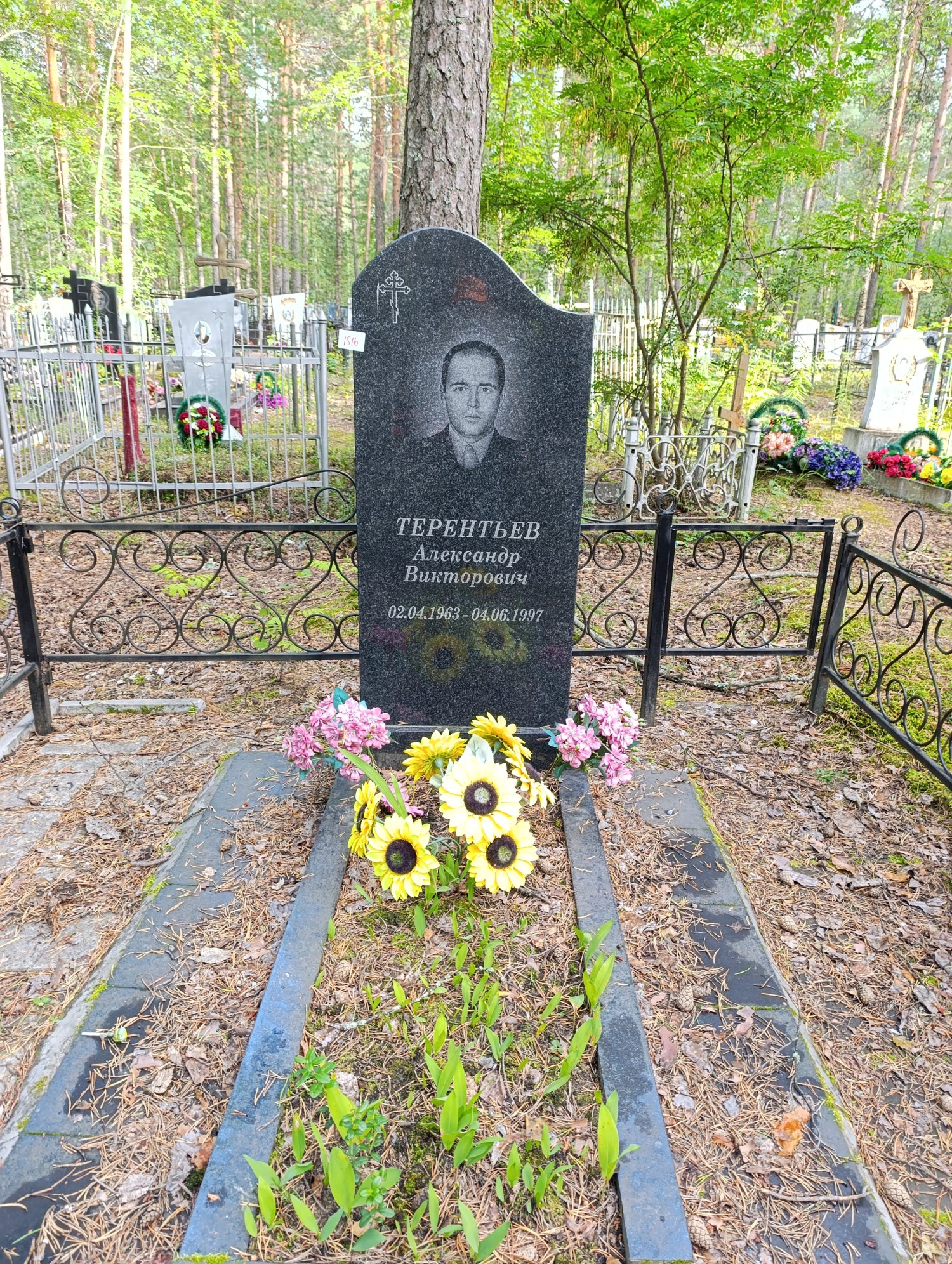 Терентьев Александр Викторович