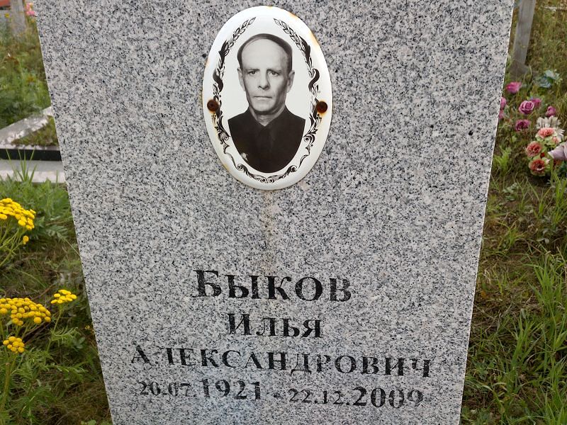 Быков