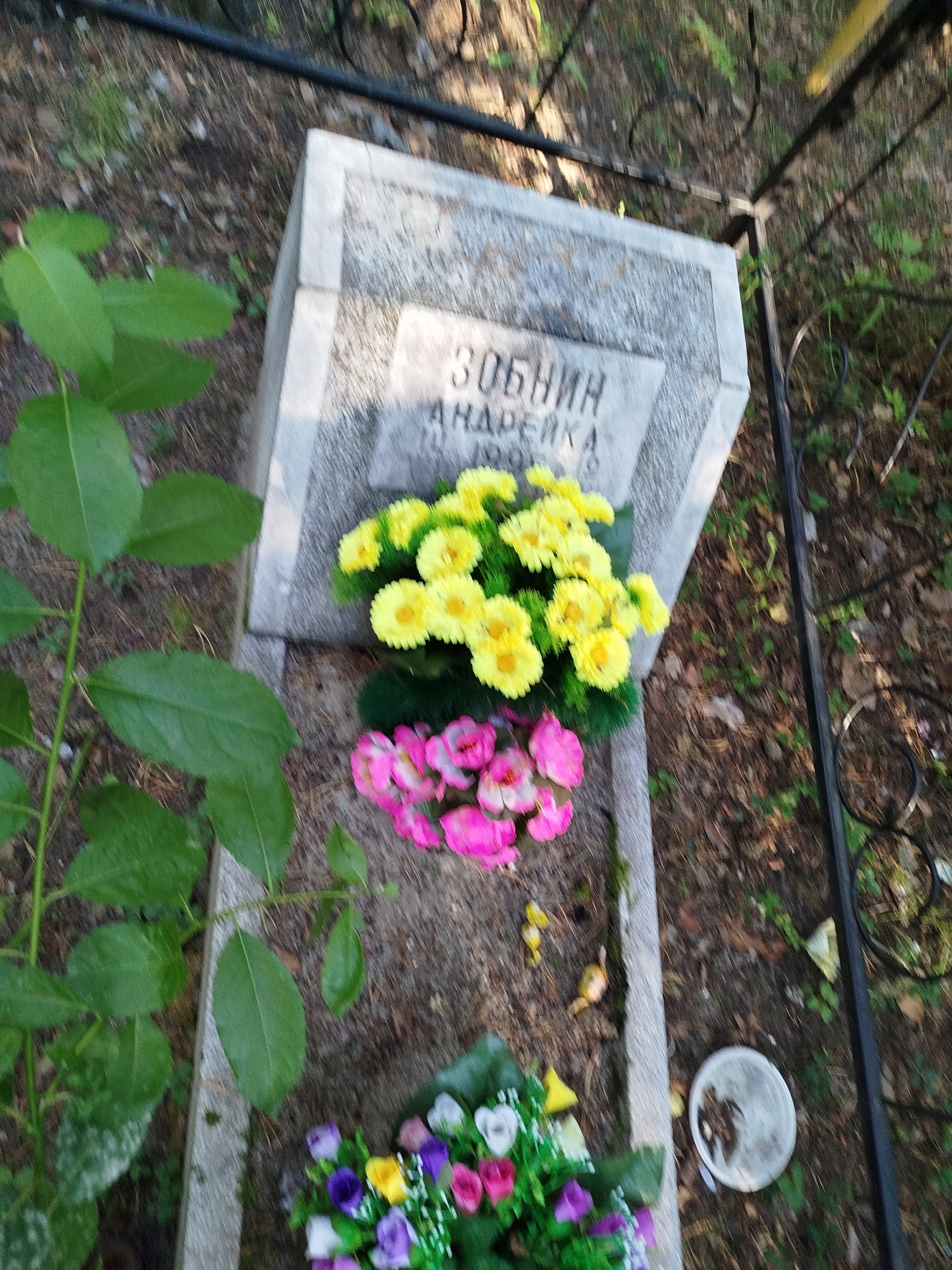 Зобнин Андрейка