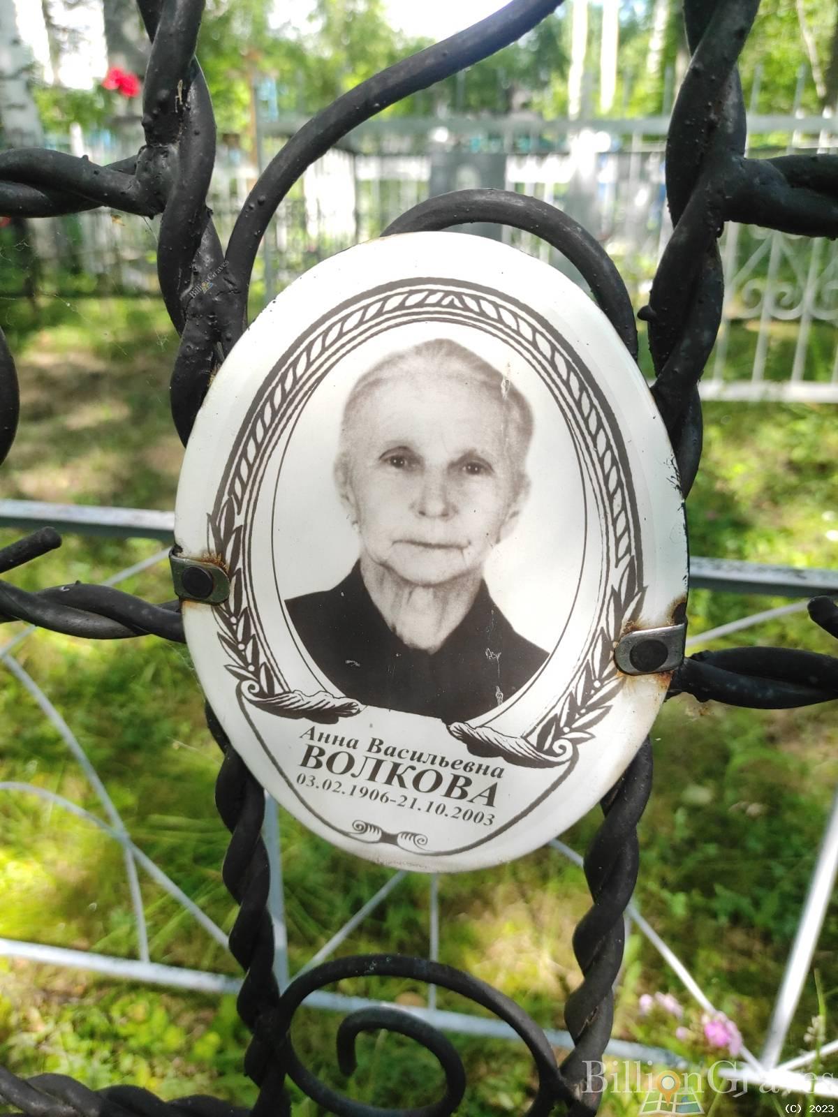 Волкова Анна Васильевна