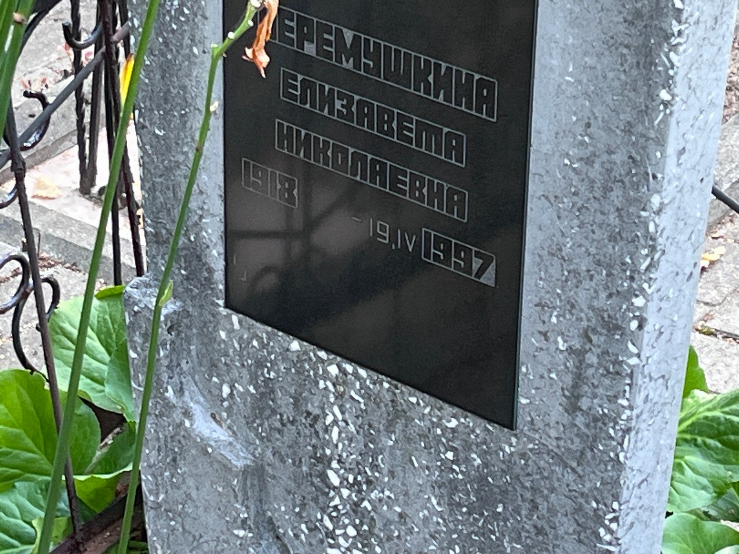Черемушкина