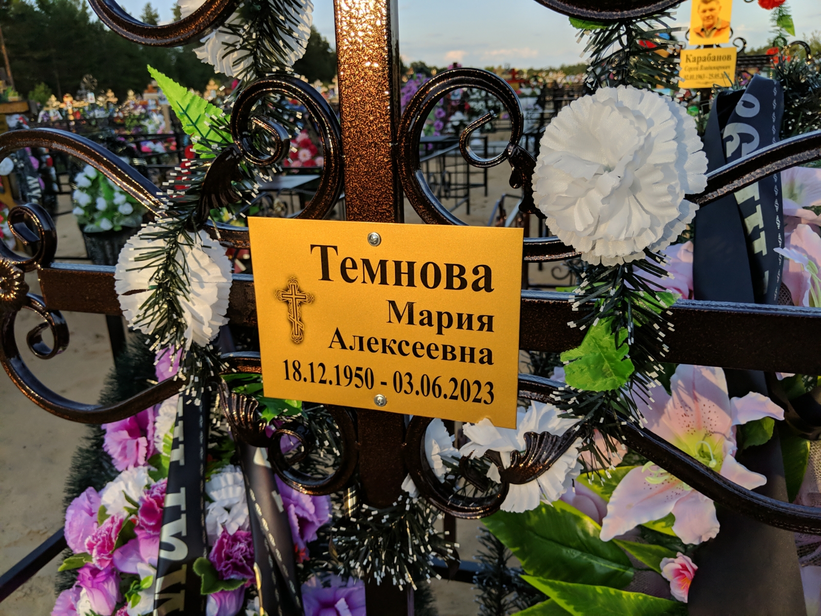 Темнова Мария Алексеевна