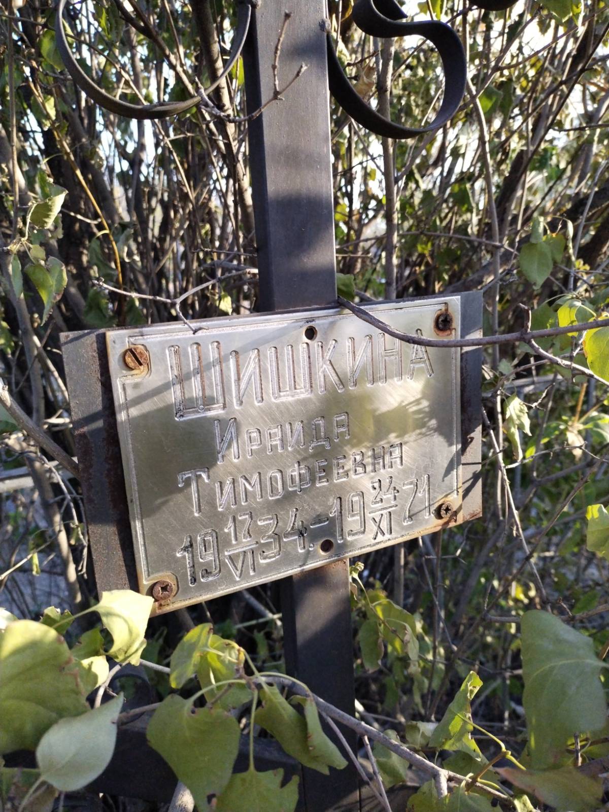 Шишкина Ираида Тимофеевна